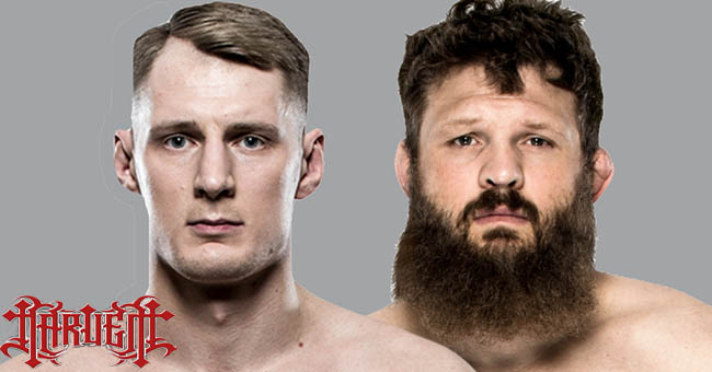 Бой Александр Волков vs. Рой Нельсон на UFC on FOX 24